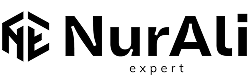 logo Nur Ali